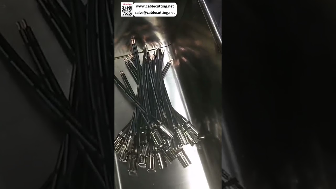 Mesin Crimping & Tinning Terminal Audio Kabel Ganda untuk Produksi Harness Injeksi Unggul