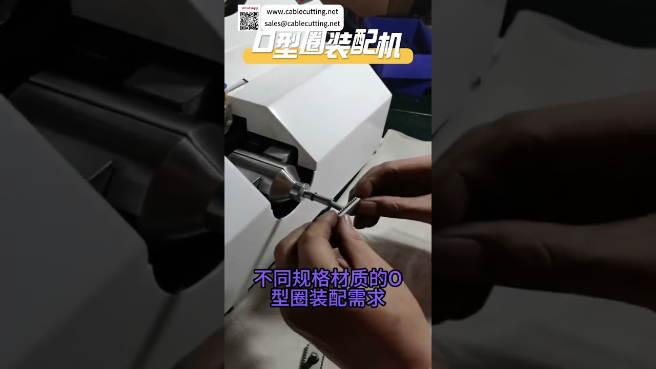 Mesin Pasang O Ring Efisiensi Tinggi | Lini Produksi Otomatis Cepat untuk Peralatan Penyegelan