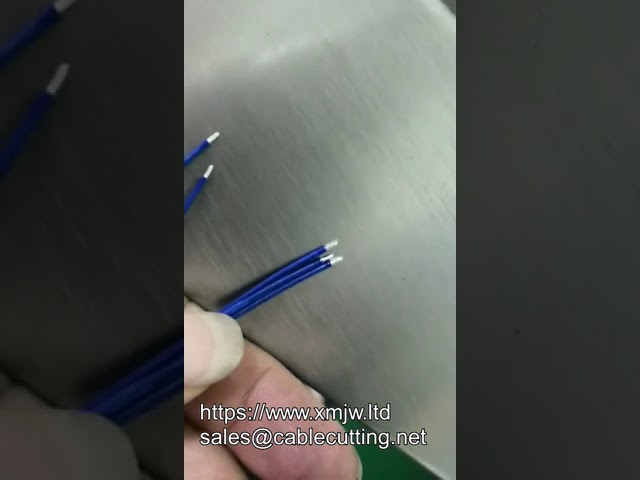 Mesin Crimping dan Dip Soldering Otomatis Satu Kepala: Hasilkan 5 Output Sekaligus