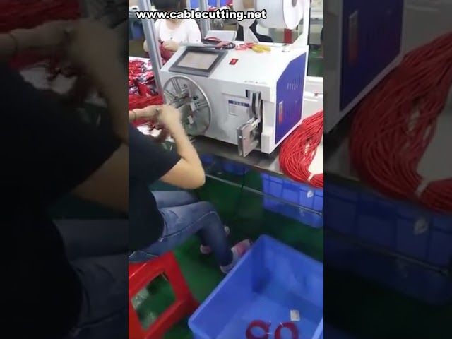 Mesin Gulung & Ikat Kawat Otomatis | Mesin Loop Tie untuk Industri